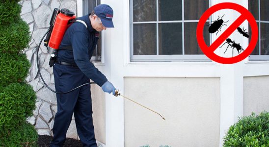Canik Karınca İlaçlama böcek ilaçlama ve haşere kontrolü — ilaclama-tr.com